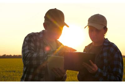Bail à ferme : définition juridique et droits