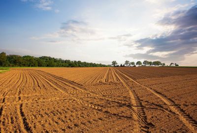 Bail agricole : conditions de validité, durée et renouvellement