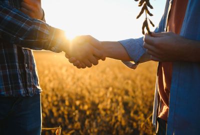 Bail rural : comment sécuriser vos contrats agricoles ?