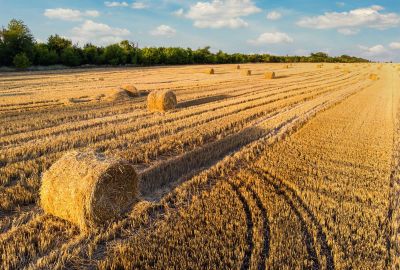 Bail rural : tout savoir