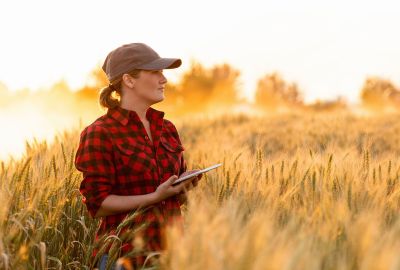 Droit de préemption du preneur rural : cadre légal, conditions et limites