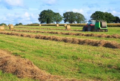 Droit rural : définition, sources et enjeux pour les professionnels