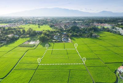 Terrains non bâtis : tout savoir sur la TFPNB