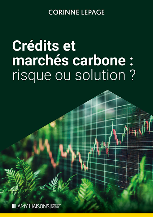 Crédits et marchés carbone : risque ou solution ?