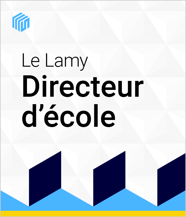 Le Lamy directeur d'école : gestion, règlementation, sécurité