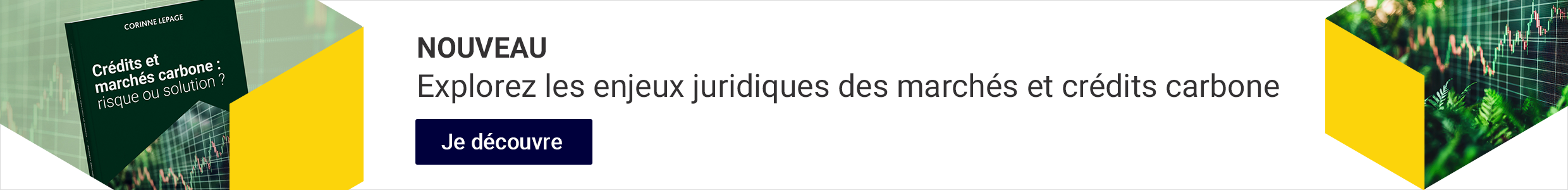 Explorez les enjeux juridiques des marchés carbone