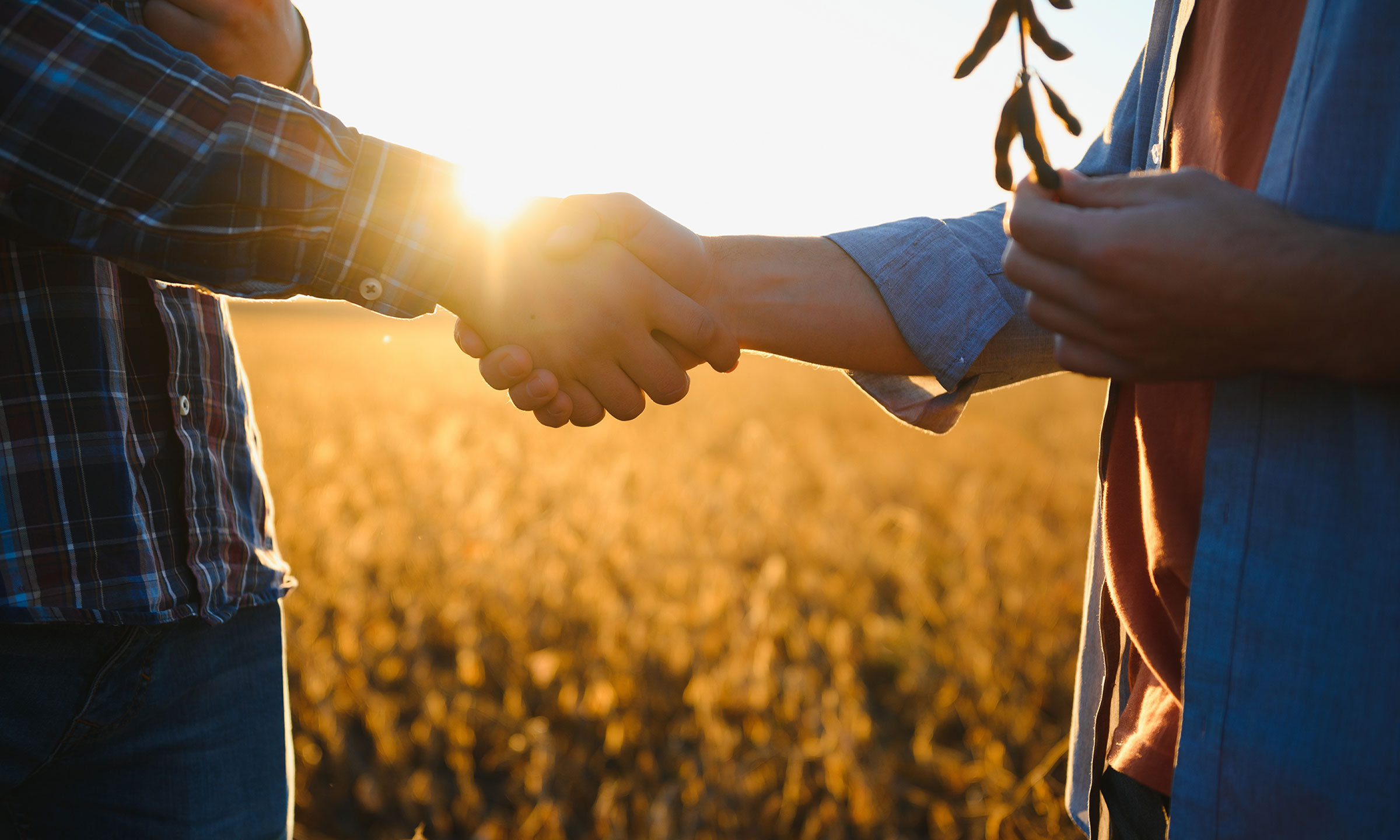 Bail rural : comment sécuriser vos contrats agricoles ?